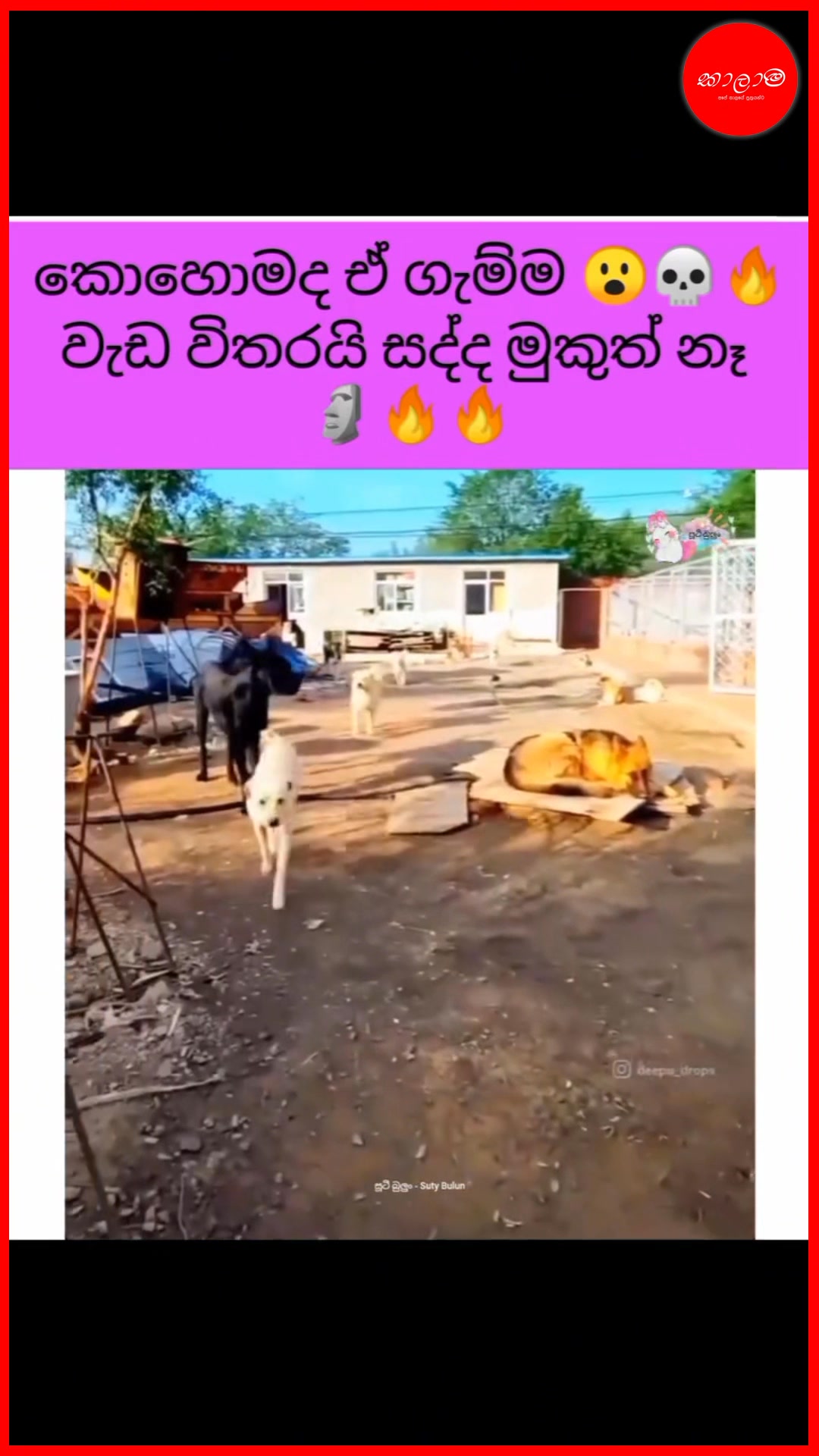 😍😎 | Kalama - කාලාම | Facebook