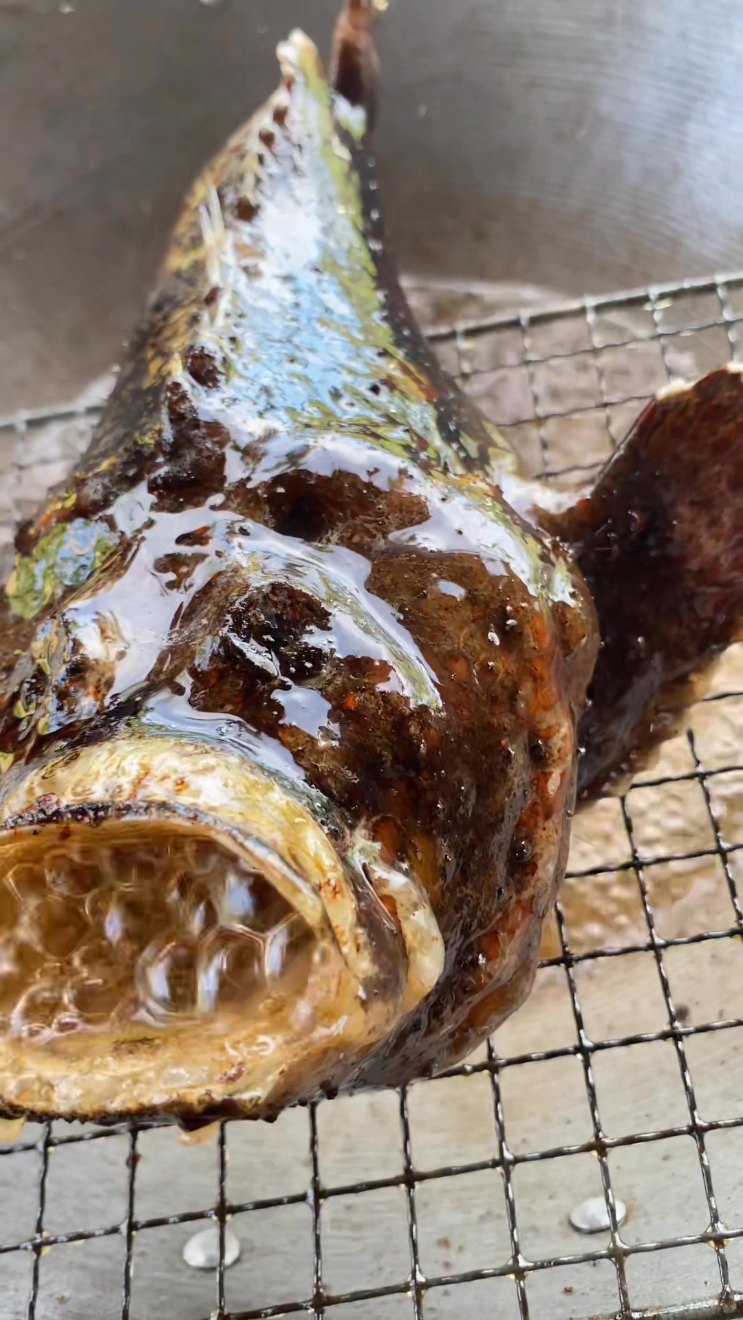 Easy to cook a fried boxfish😋 | Abby Orcales Gemina - Cueto | Facebook