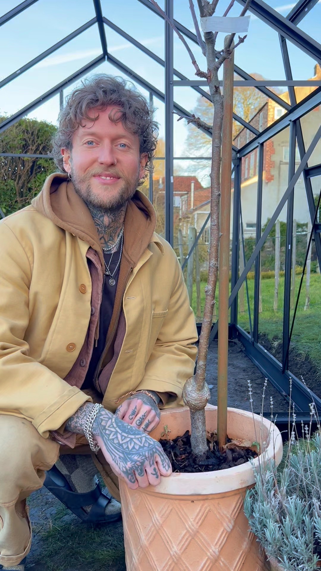 Growing Fruit Trees in Small Spaces! 🌳🍏🍒 You don’t need a large garden ...