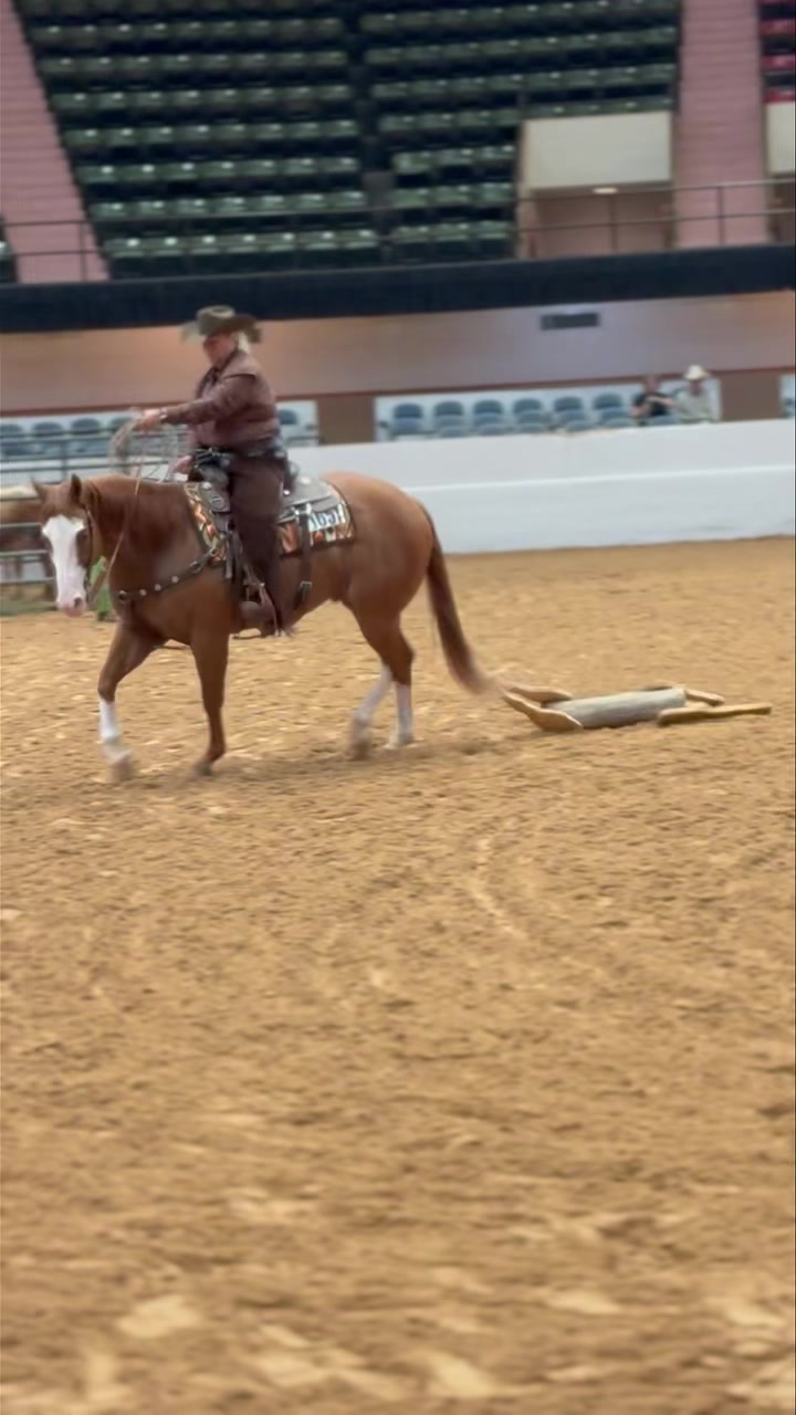 Dally like a Pro! Non-Pro Ranch Trail exhibitor Karen Johnson giving us ...