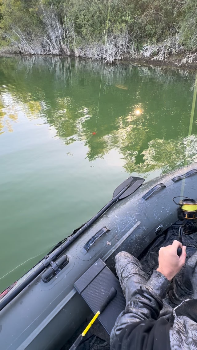 Monster catfish vs angler😳🔥! Watch the epic battle unfold as an angler ...