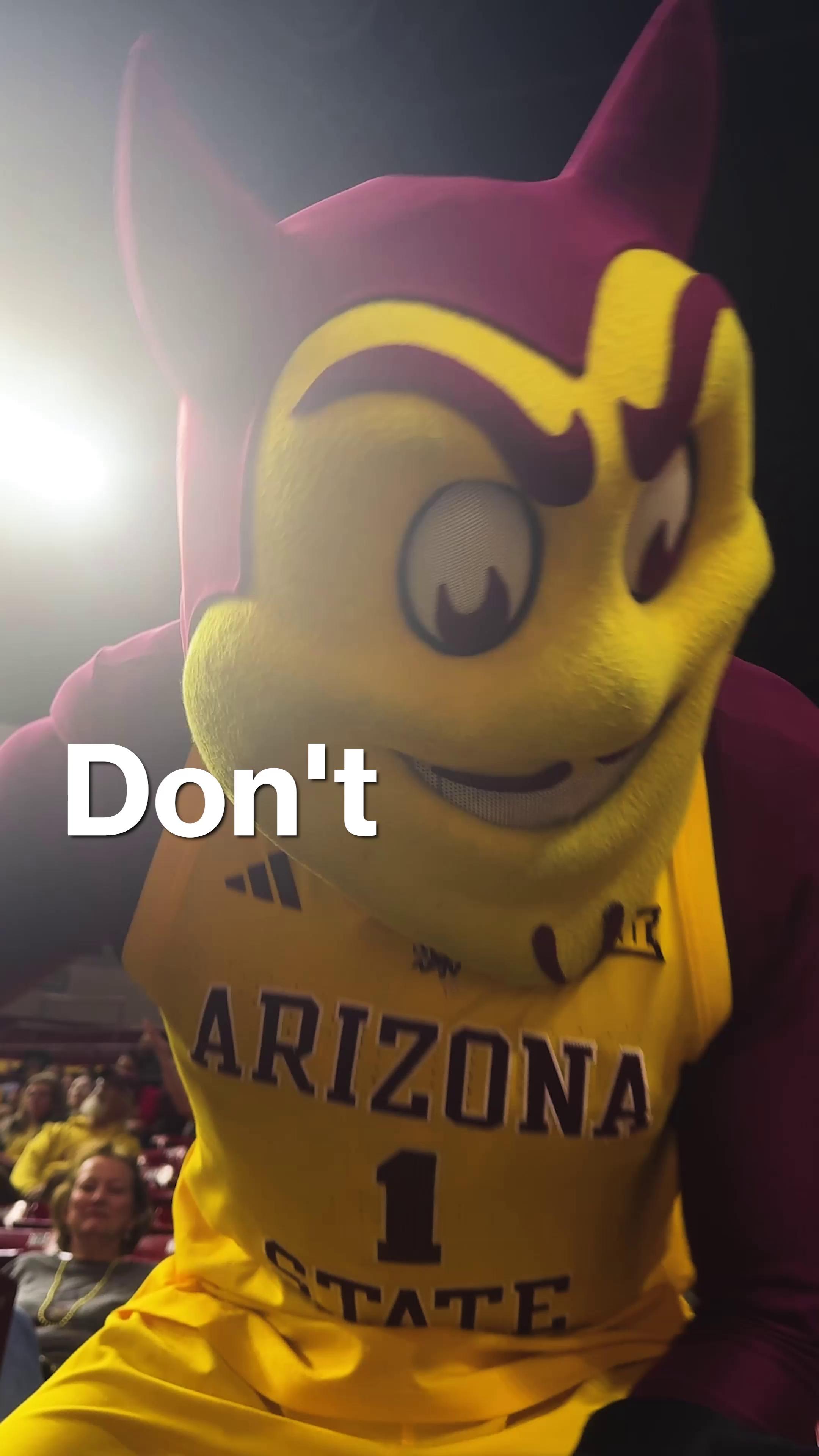 The final home game of the season is here on Feb. 25, and Desert ...