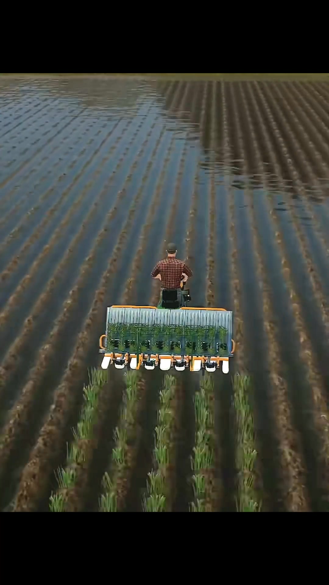 FS22 - Quick rice planting🌾🔥 #farmingsimulator22 #FarmingSimulator # ...