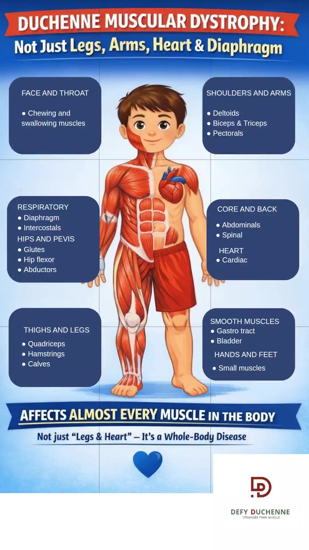 When people hear “Duchenne Muscular Dystrophy,” they often think: legs ...