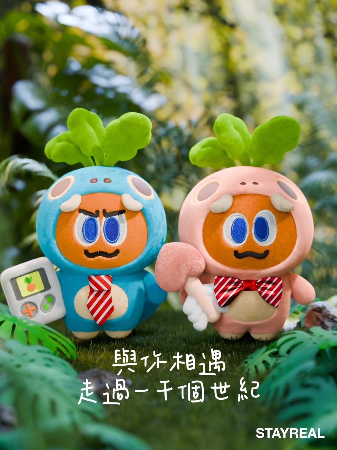 CROXXBONES x 全新☆STAYREAL 怪獸花鳥風月L寸短T☆附徽章