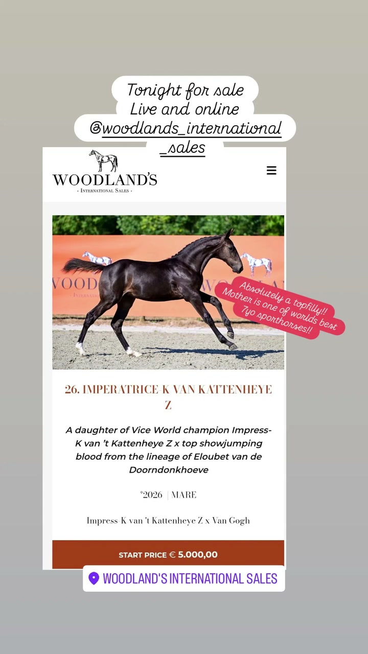 Star Stables Kattenheye on Reels