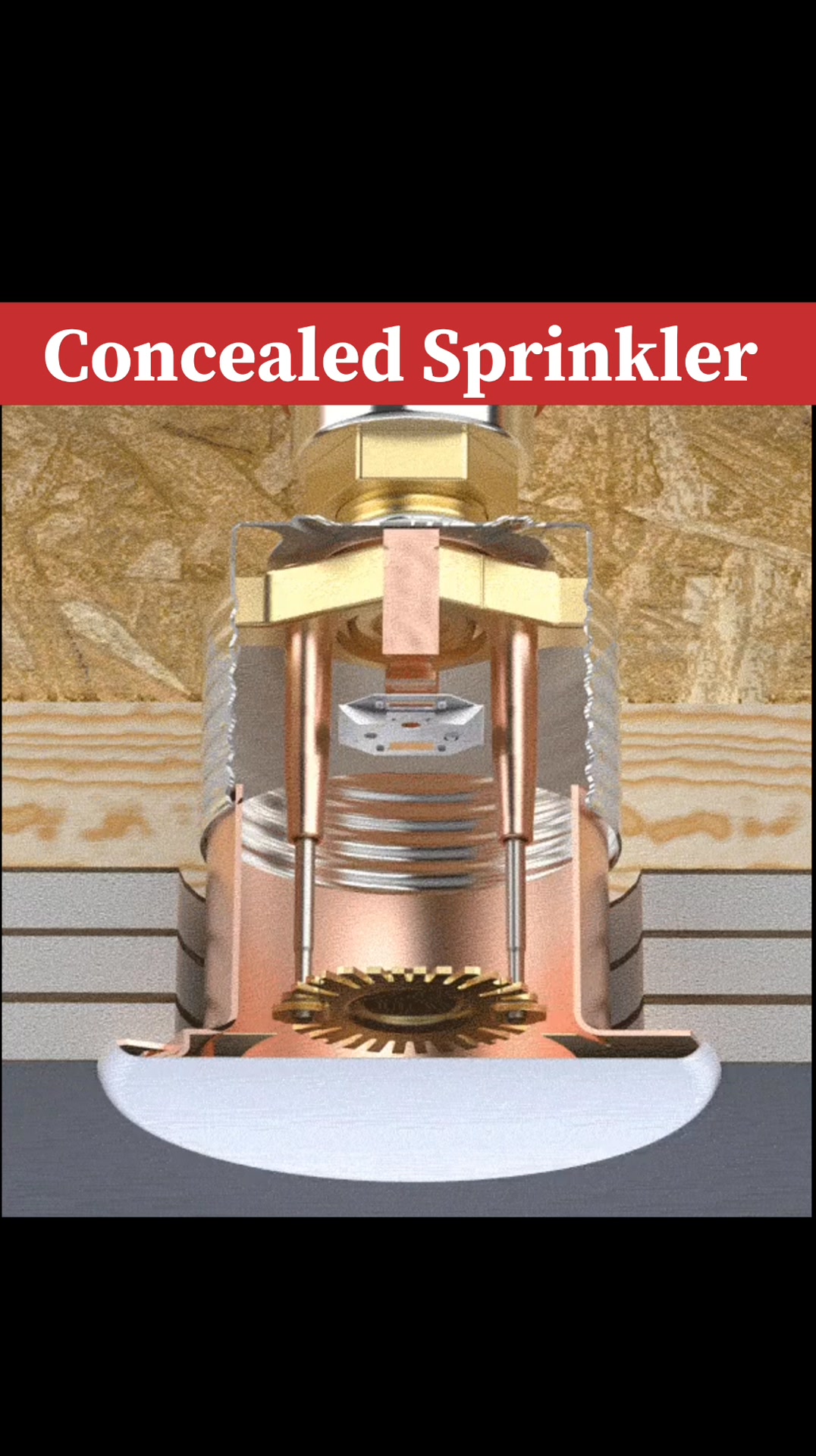 🔥 *Concealed Sprinkler* 🚨 - *What is it? 🤔* - *Hidden sprinkler head ...