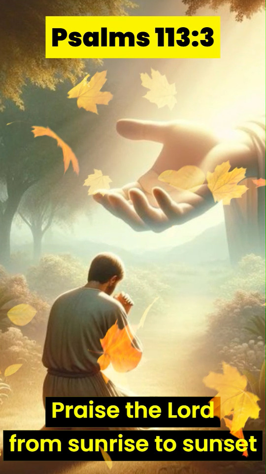 Praise the Lord From Sunrise to Sunset Every Single Day Praise is not ...