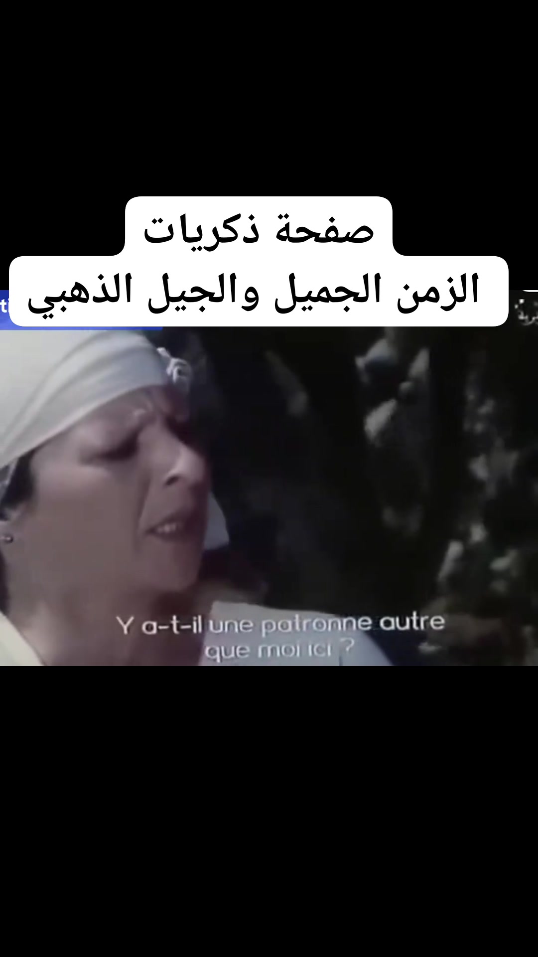 يخي كماااارة يخي #الجزائر_العاصمة #Alger #وهران #Oran #قسنطينة ...