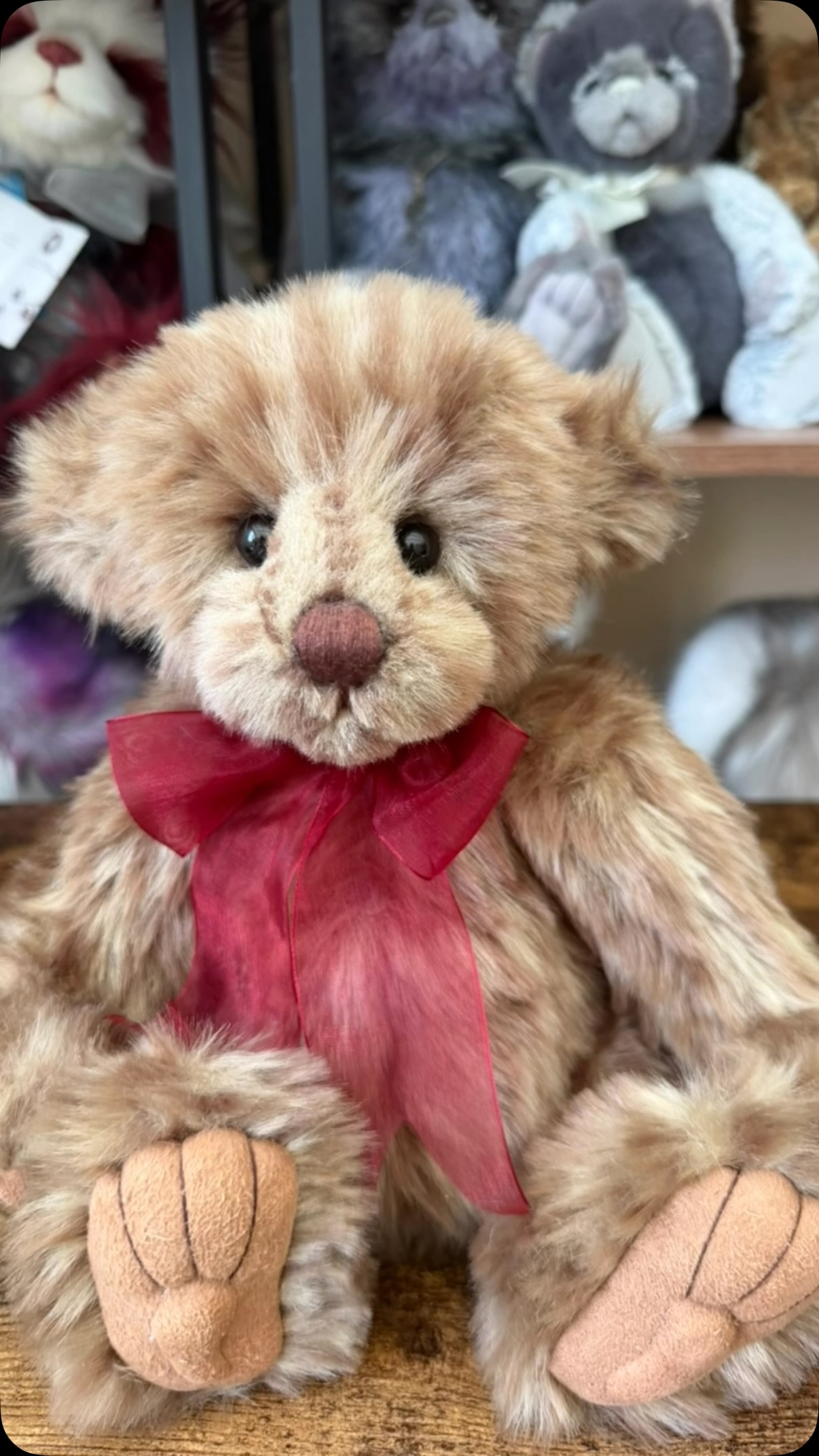 Check out this video and meet this gorgeous bear that has been