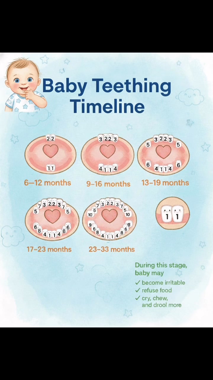 🦷 Baby Teething Timeline (0–3 Years) 👶 Teething is an important ...
