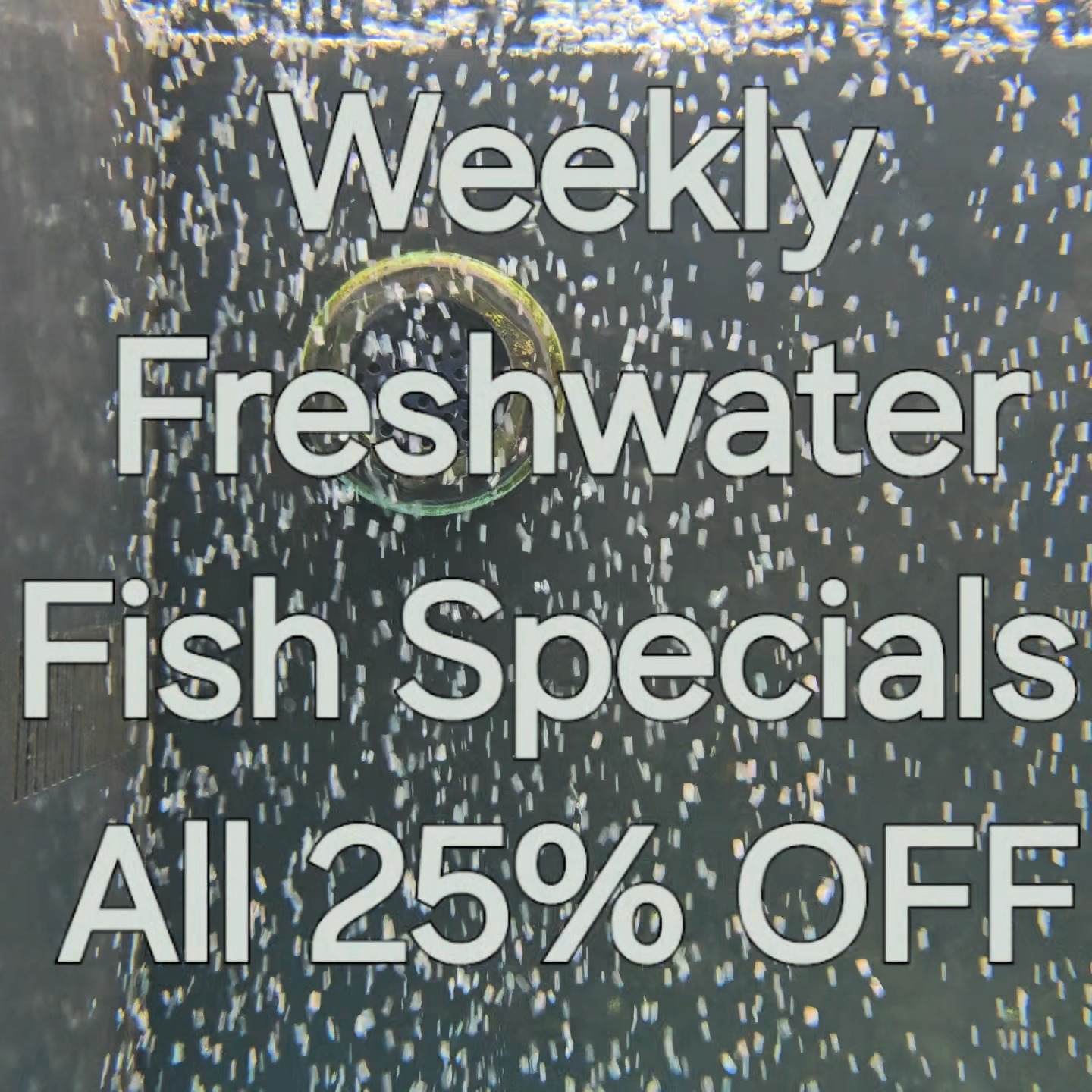 𝗙𝗶𝘀𝗵 𝗦𝗽𝗲𝗰𝗶𝗮𝗹𝘀 𝘁𝗵𝗶𝘀 𝗪𝗲𝗲𝗸 All Fish Specials are 25% OFF 𝗧𝗵𝗶𝘀 𝗦𝗔𝗟𝗘 𝗔𝗽𝗽𝗹𝗶𝗲𝘀 ...