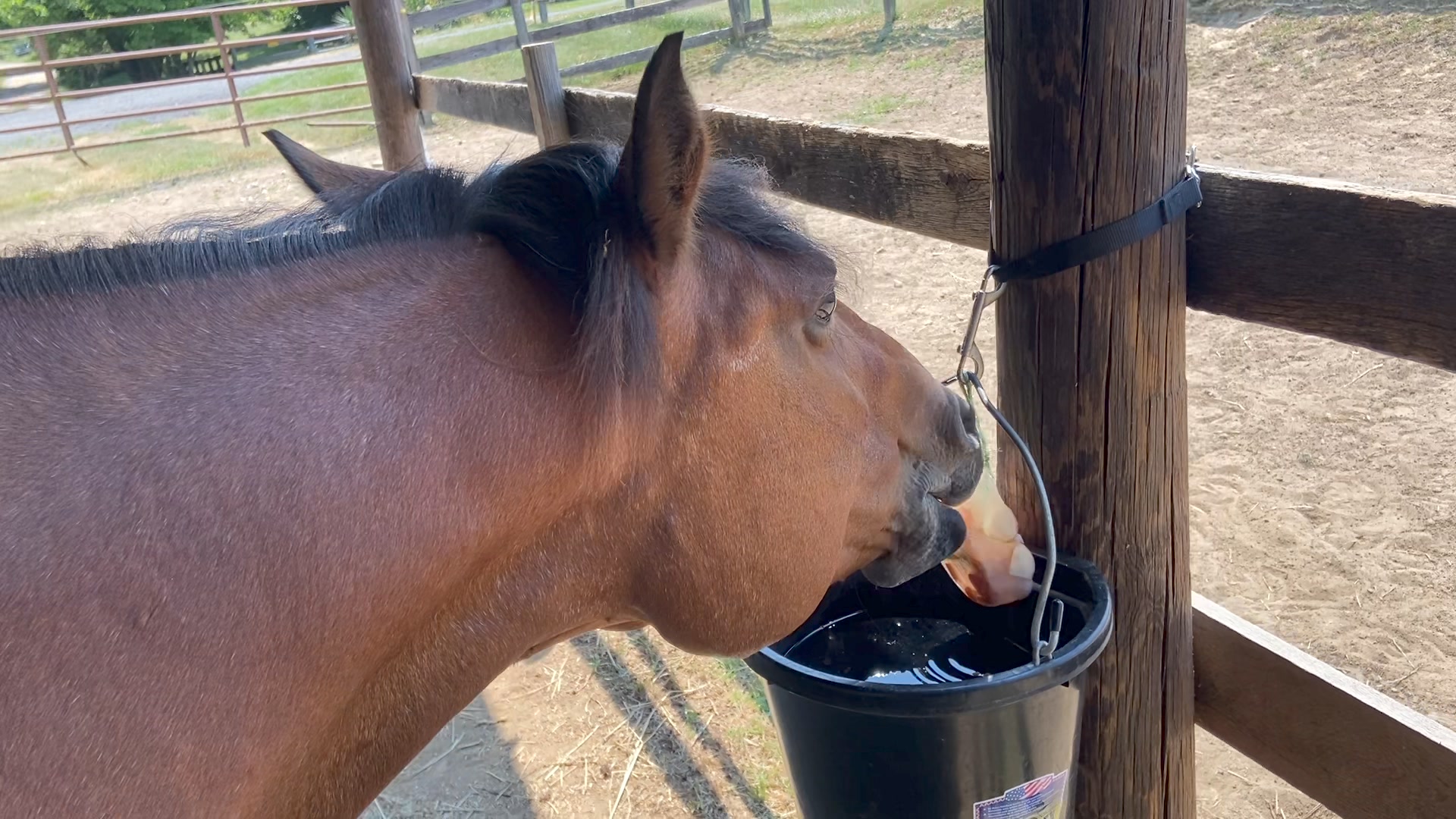 Starboard Stables | Baltimore MD