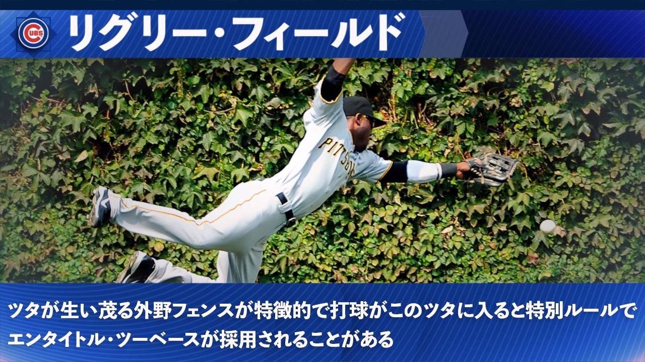 リグレー フィールド ツタ