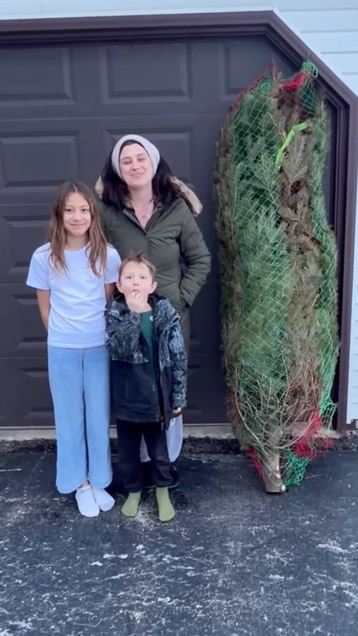 Kringle's Tree Factory | New Lenox IL