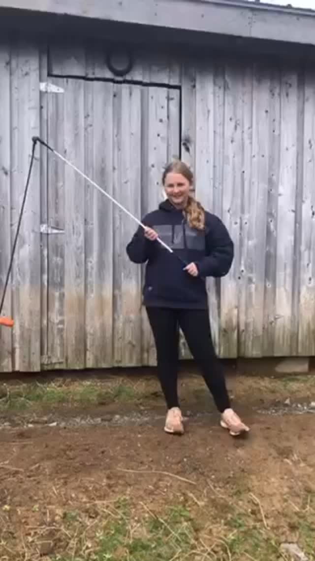Fun video 😂#funny #clever_horses #pony #horses #miniature #farmlife ...