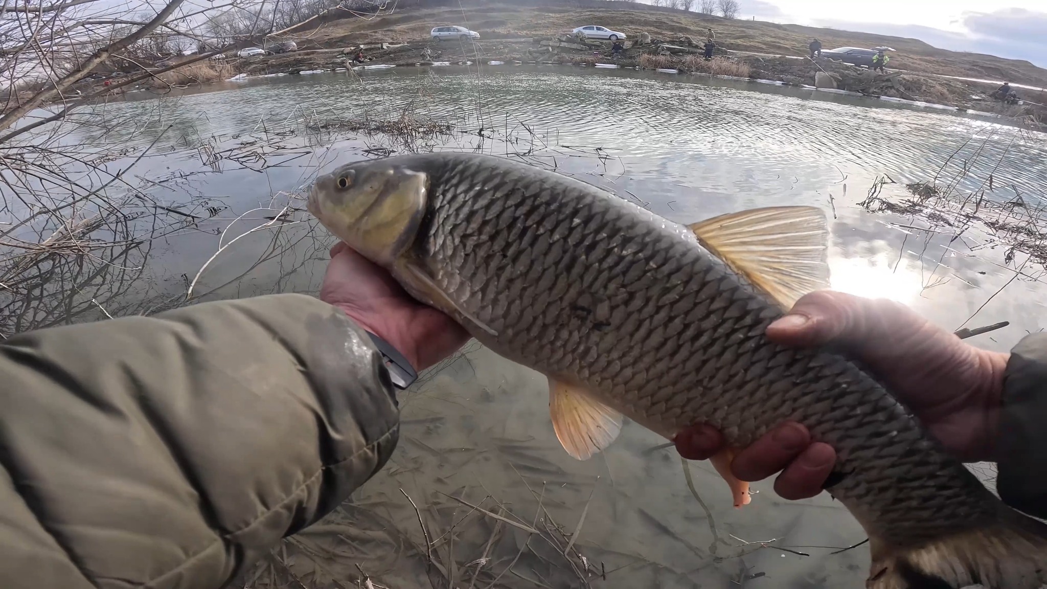 Eliberare clean de 53 cm. | Pescuit si Natura cu Alex Moisuc | Facebook