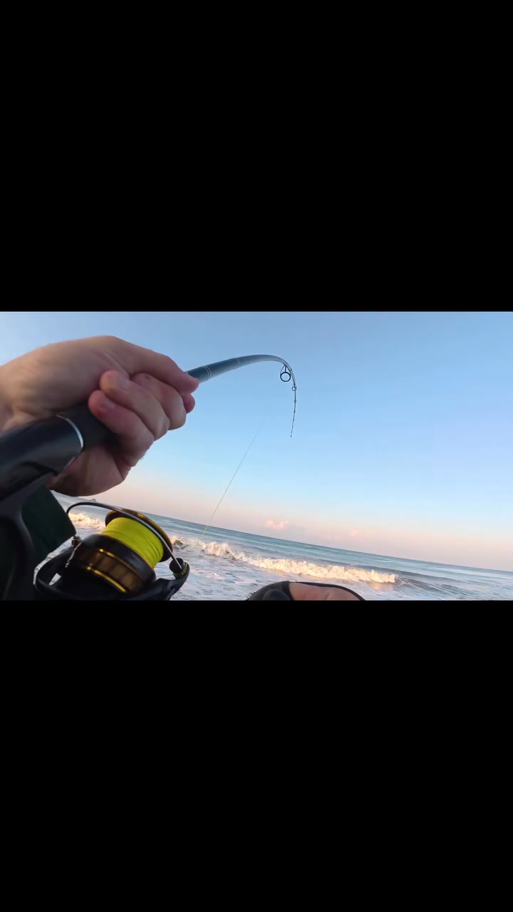 World Fishing Frenchies