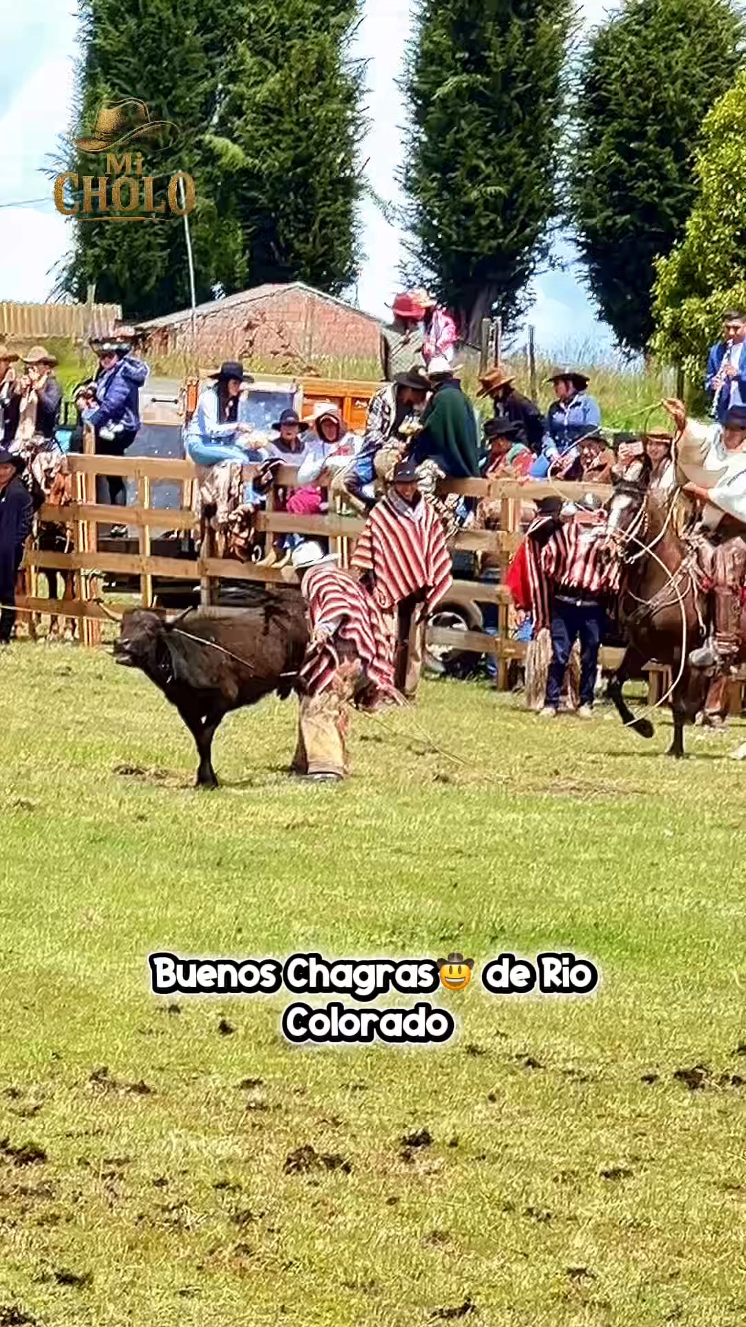 Buenos betazos 🤠 #reelsviral #chagrasecuador #EEUU #fblifestyle #rodeo ...