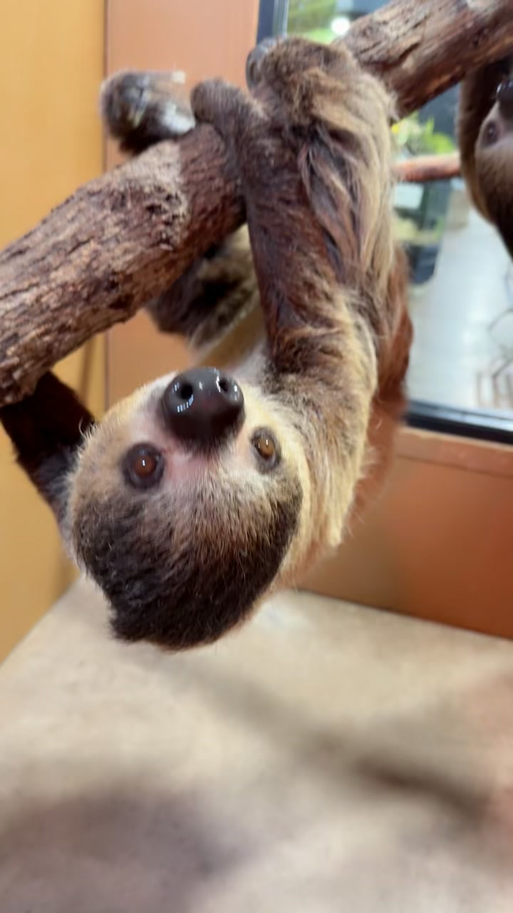 Slow and steady wins everyone’s hearts! Visitors love watching our ...