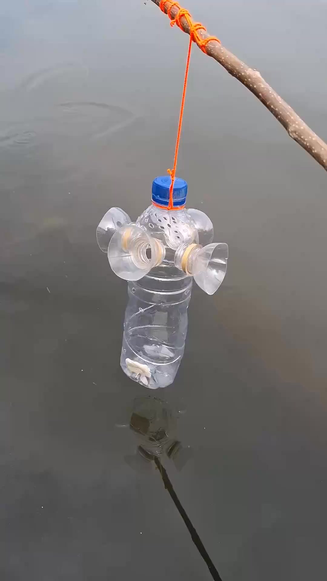 Botol jebakan ikan #fish #fishing | Luna Breeze | Facebook