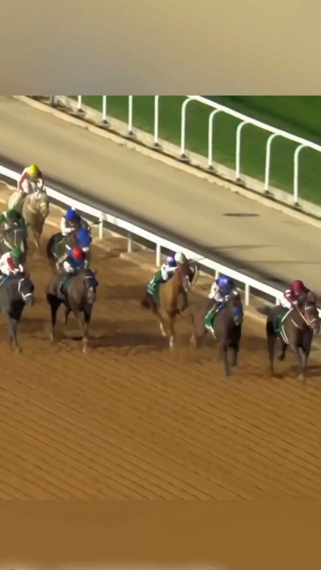 Forever Young retains his Saudi Cup crown | At The Races