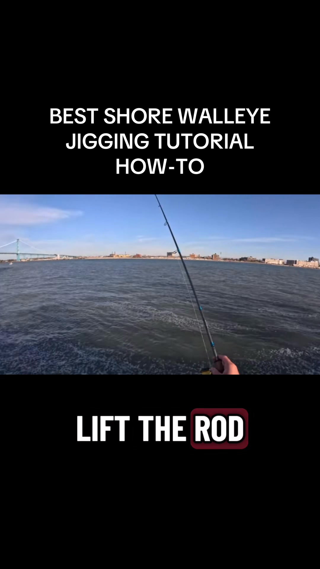 abu garcia light spinning combo Max Elite Vital Industries Paired with a lightweight Abu Garcia Cardinal X SKU:12907-01