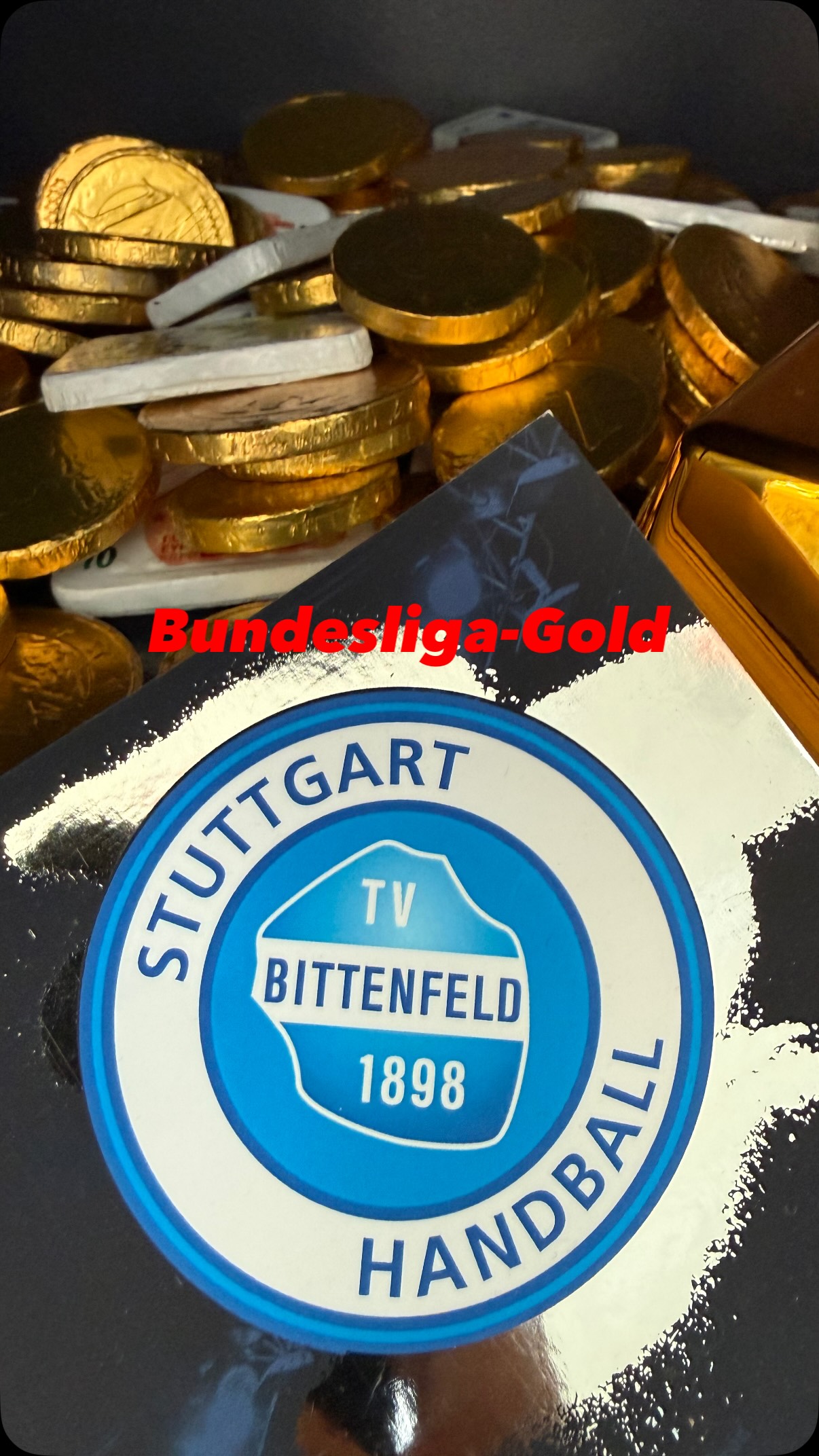 Andere buchen eine Werbebande. Wir haben einfach das TOR zum TRESOR gemacht. 😂🔐🤾 Wenn wir schon Sponsor beim TVB Stuttgart sind, dann bitte nicht als Sponsor Nummer 378, dessen Logo