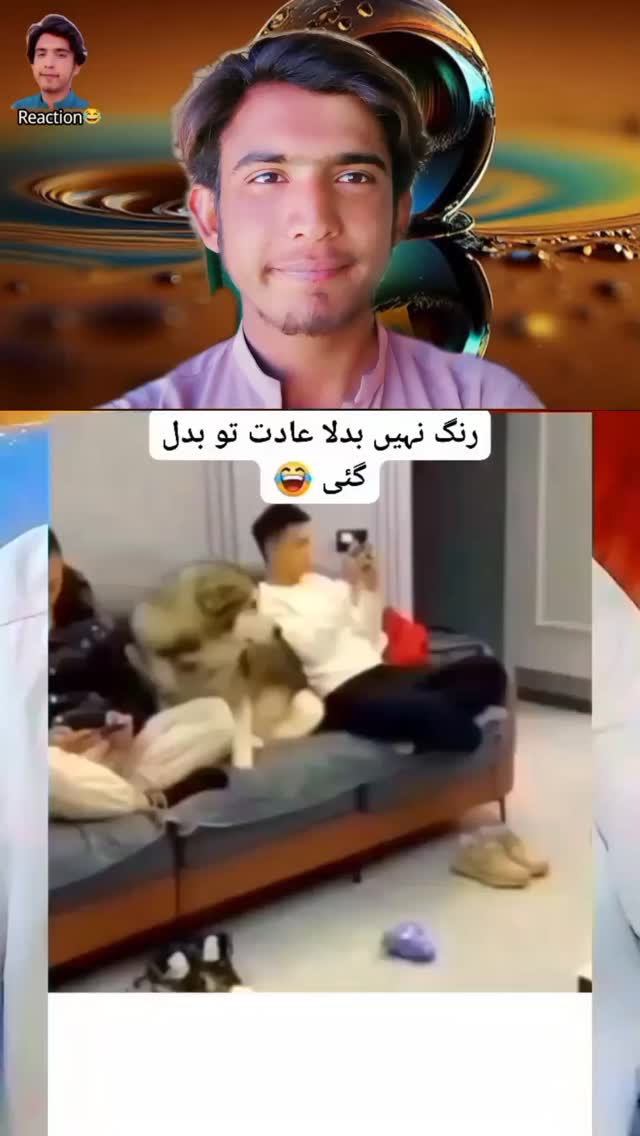 kuch samgh aya kia 😂😁#reacmuddassir react.muddassir 𝙏𝙝𝙚 𝙃𝙤𝙣𝙙𝙖 𝘾𝙞𝙫𝙞𝙘 ...