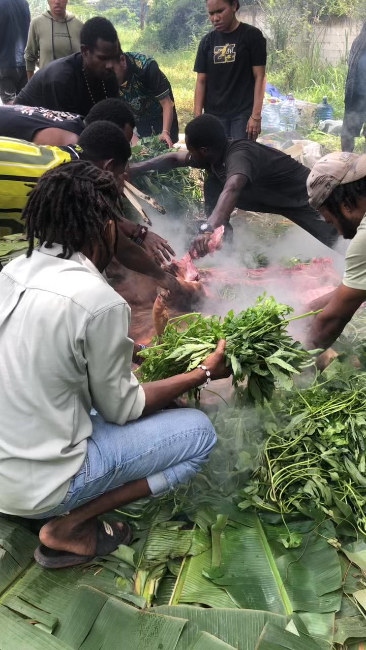 Traditional Papuan cooking using stone-grilled dishes. The tradition of ...