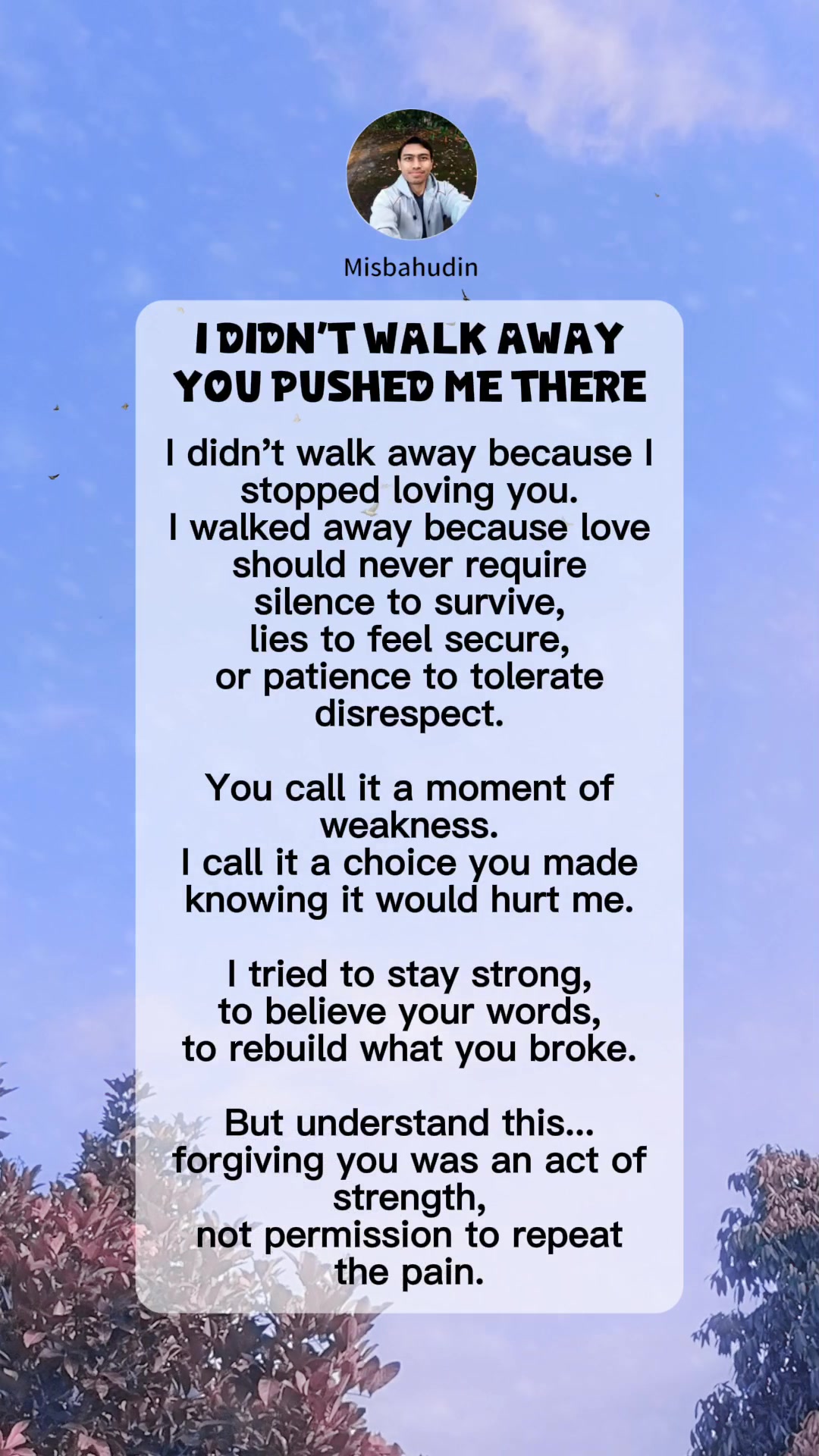 Curated visual reference: Picture Idea: Life Story I Didn T Walk Away You Pushed Me