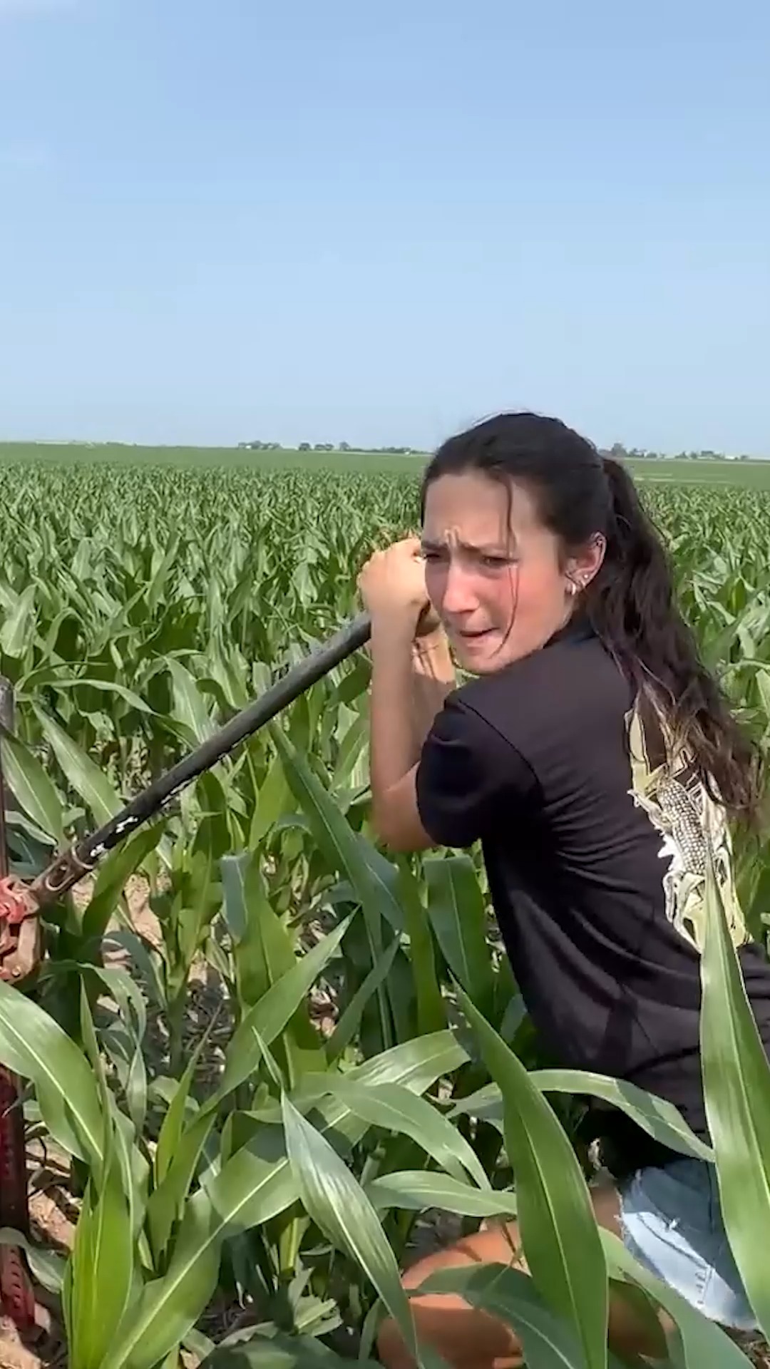 Laura Farms - Pivot Irrigator vs. Drip Irrigation! | Facebook