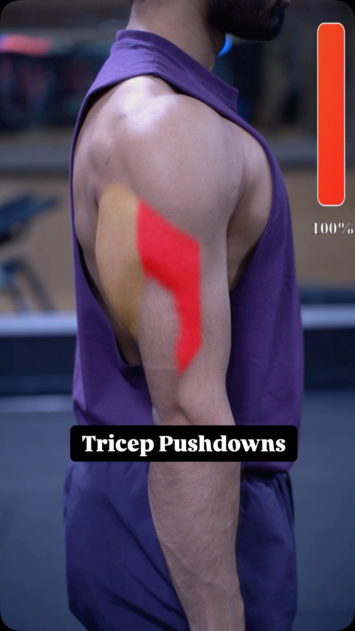 Triceps: Know The Difference . When performing Overhand Tricep ...