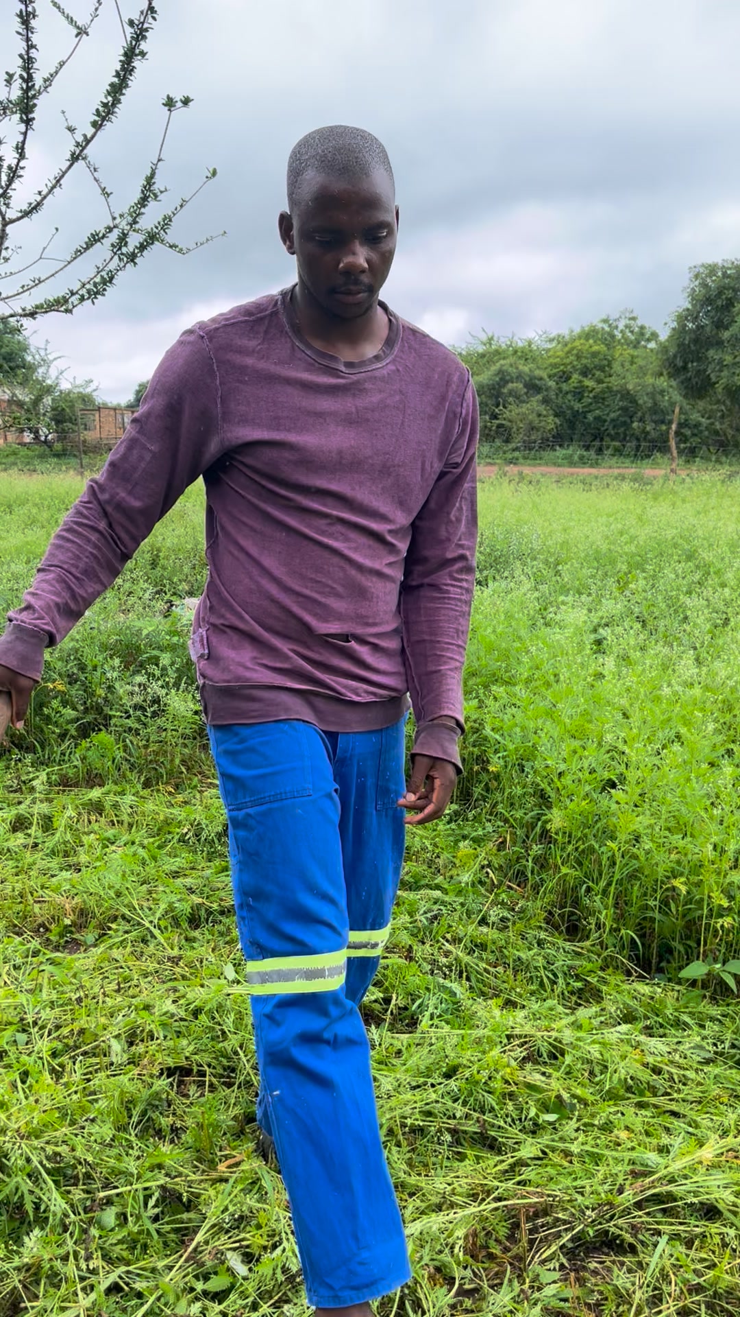 Ivondo Ave linikana umfutho uyakuzwa ukunuka #music #mua #motivation # ...