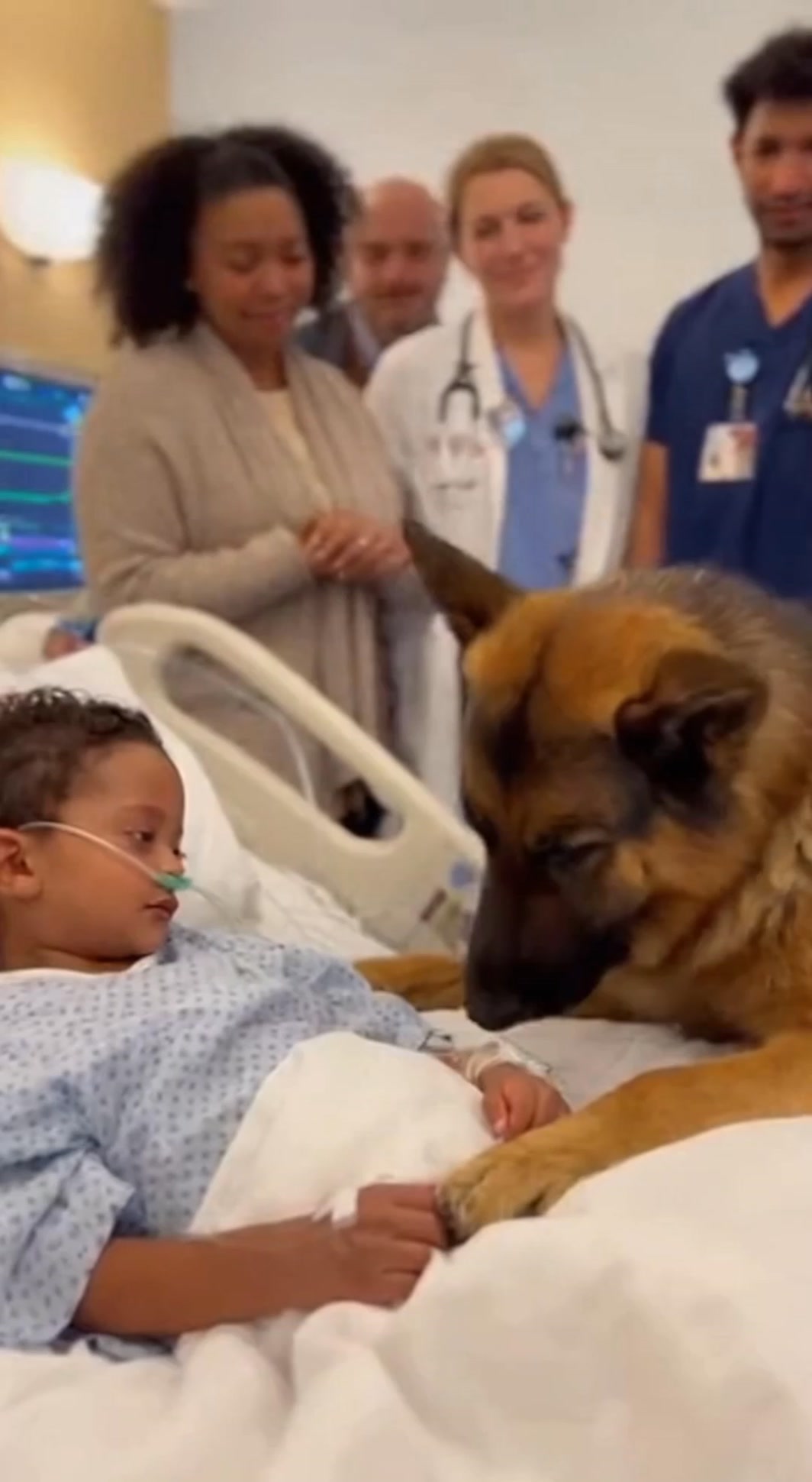 The doctors said the boy had one last chance…But when his loyal dog ...