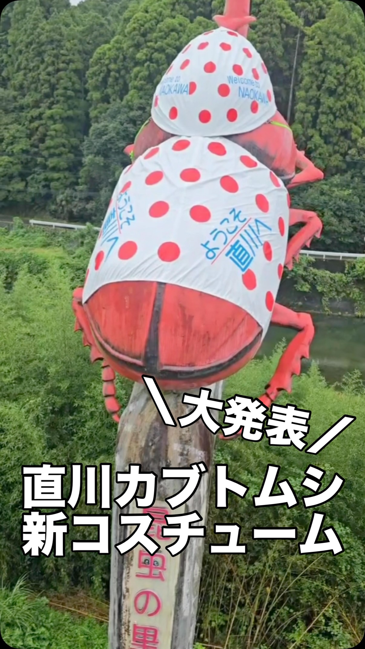 ♨🍊🚗 えひめ＆おおいた 満喫周遊スタンプラリー2026 開催中
