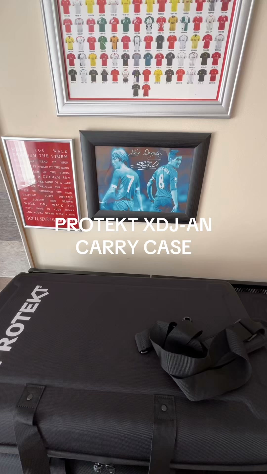 コスト Protekt carry case for XDJ-AN DJ equipment review