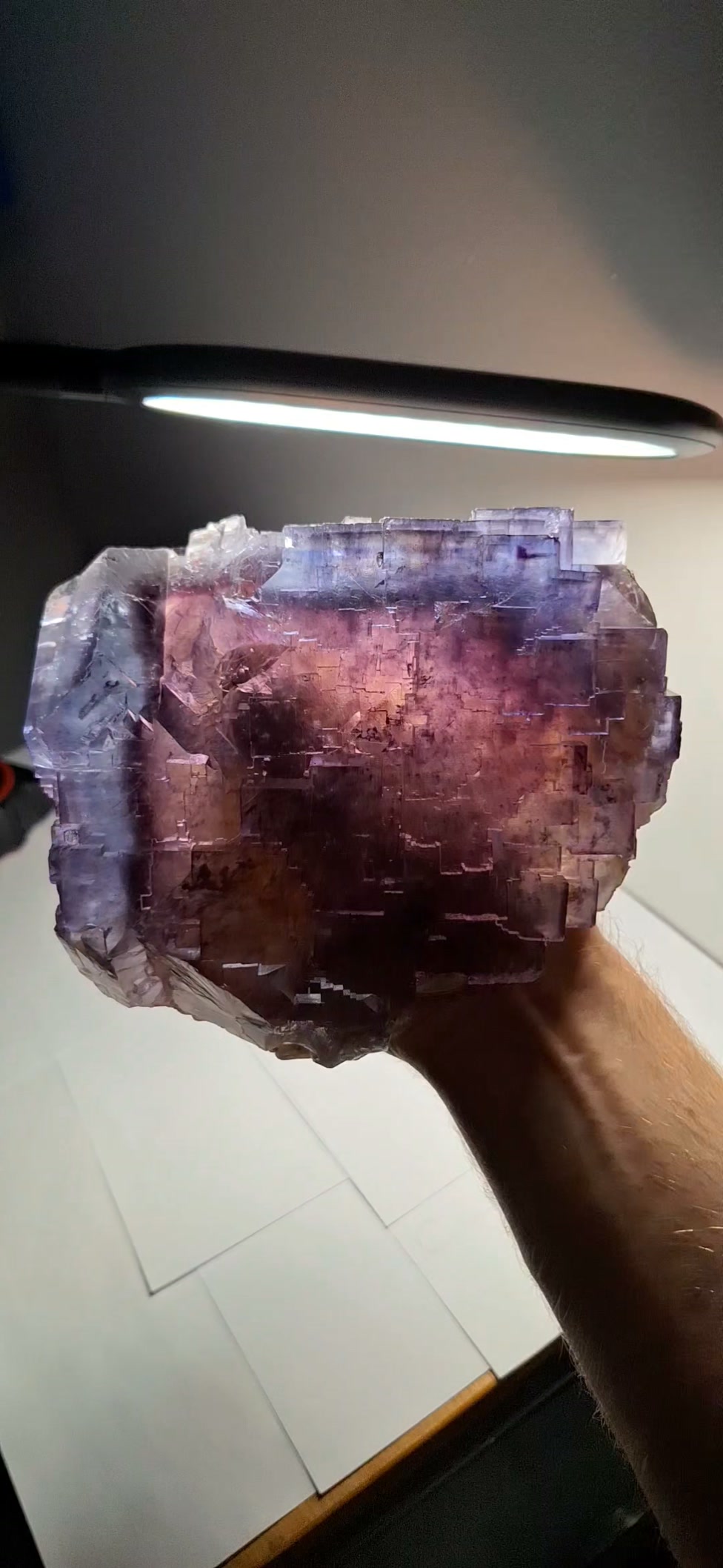 Minerva #1 mine giant fluorite with vibrant blue zoning