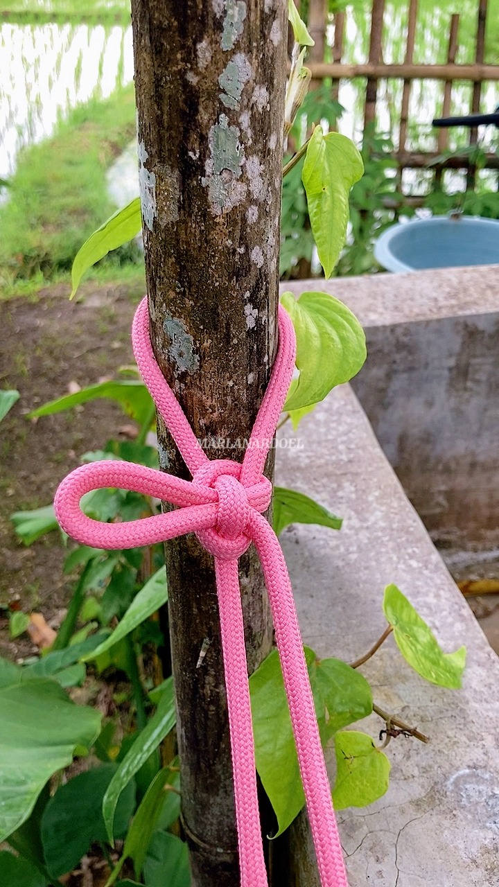 The knot you didn’t know you needed! 🪢 This quick-release hitch is ...