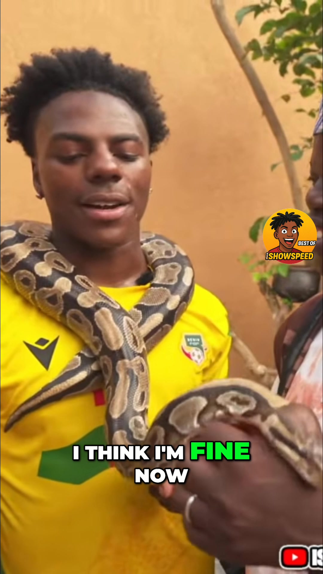 Experience the unique connection as someone interacts with a python ...