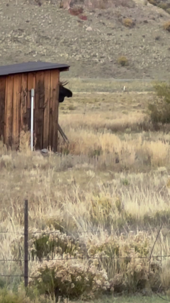 RC Guest Ranch | Creede CO