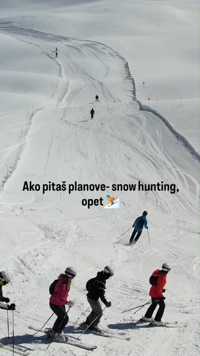 Snow Hunters