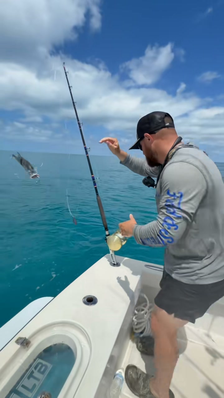 best tuna fishing lures Trolling Saltwater 6 Rigged Offshore Bag Mahi Marli Mounts – All Hardware Provided:Standard Mount THKFISH Saltwater Popper Lures saturday evening post Lindgren Pitman Best Deep