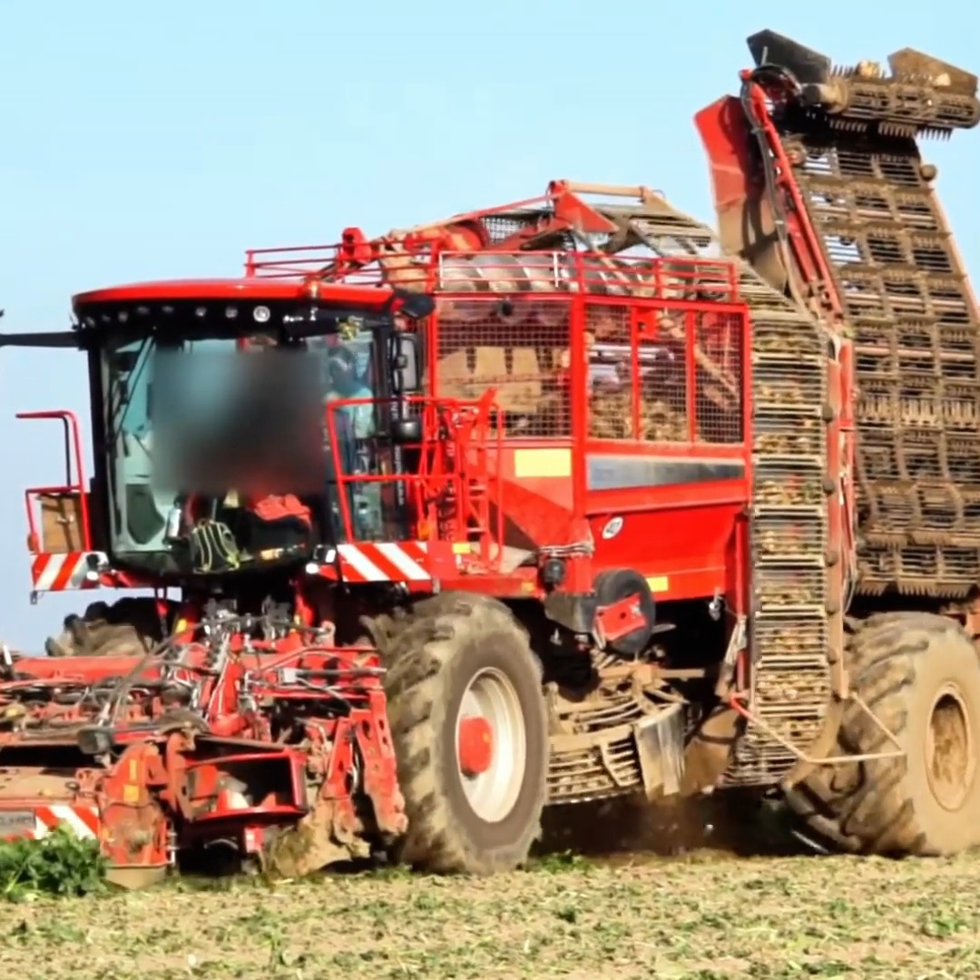 Holmer terra T4 in action at the sugar beet harvest 😎🚜🍠 | Big Machines ...