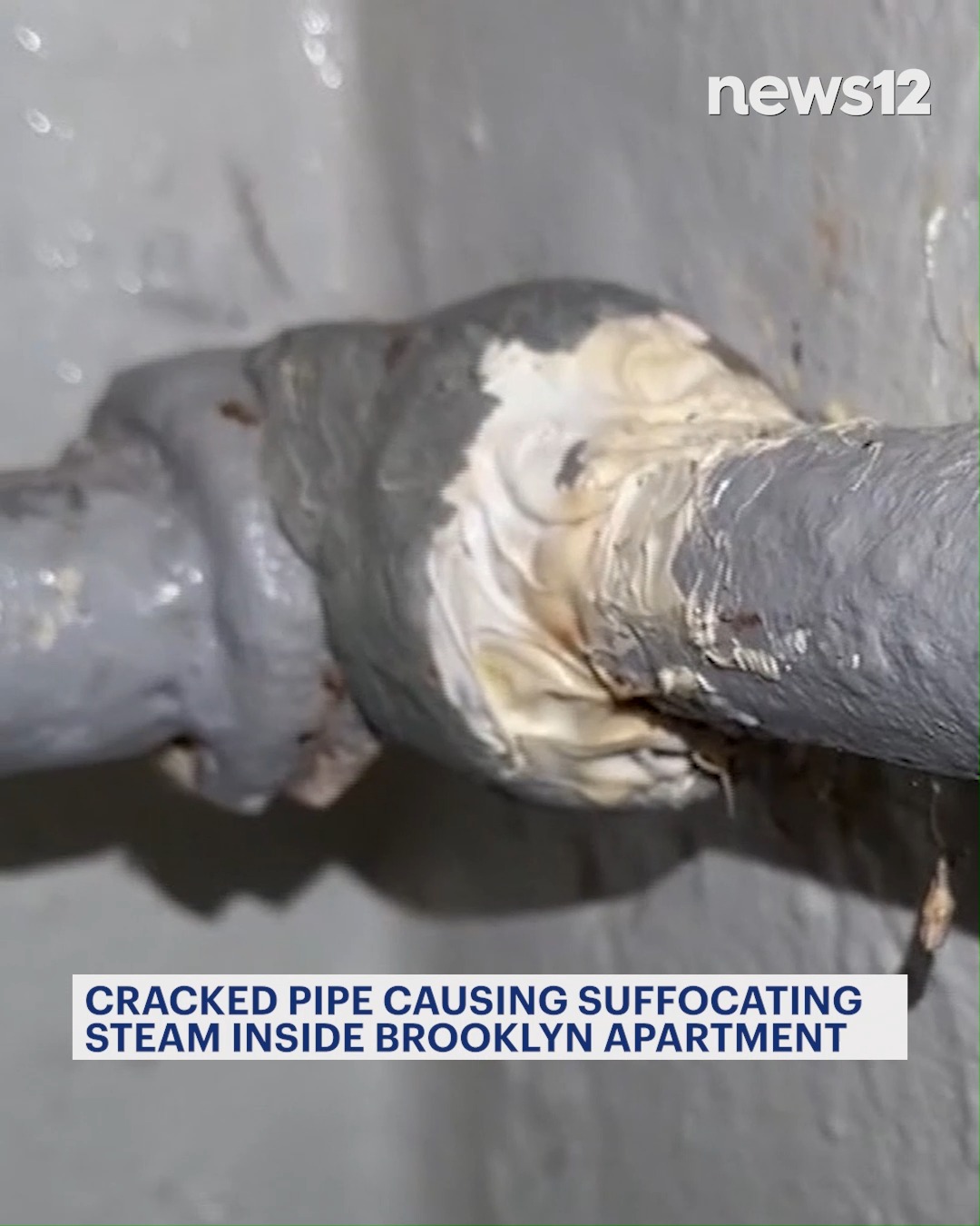 A Brooklyn woman told News 12 she couldn't get NYCHA to fix a broken ...