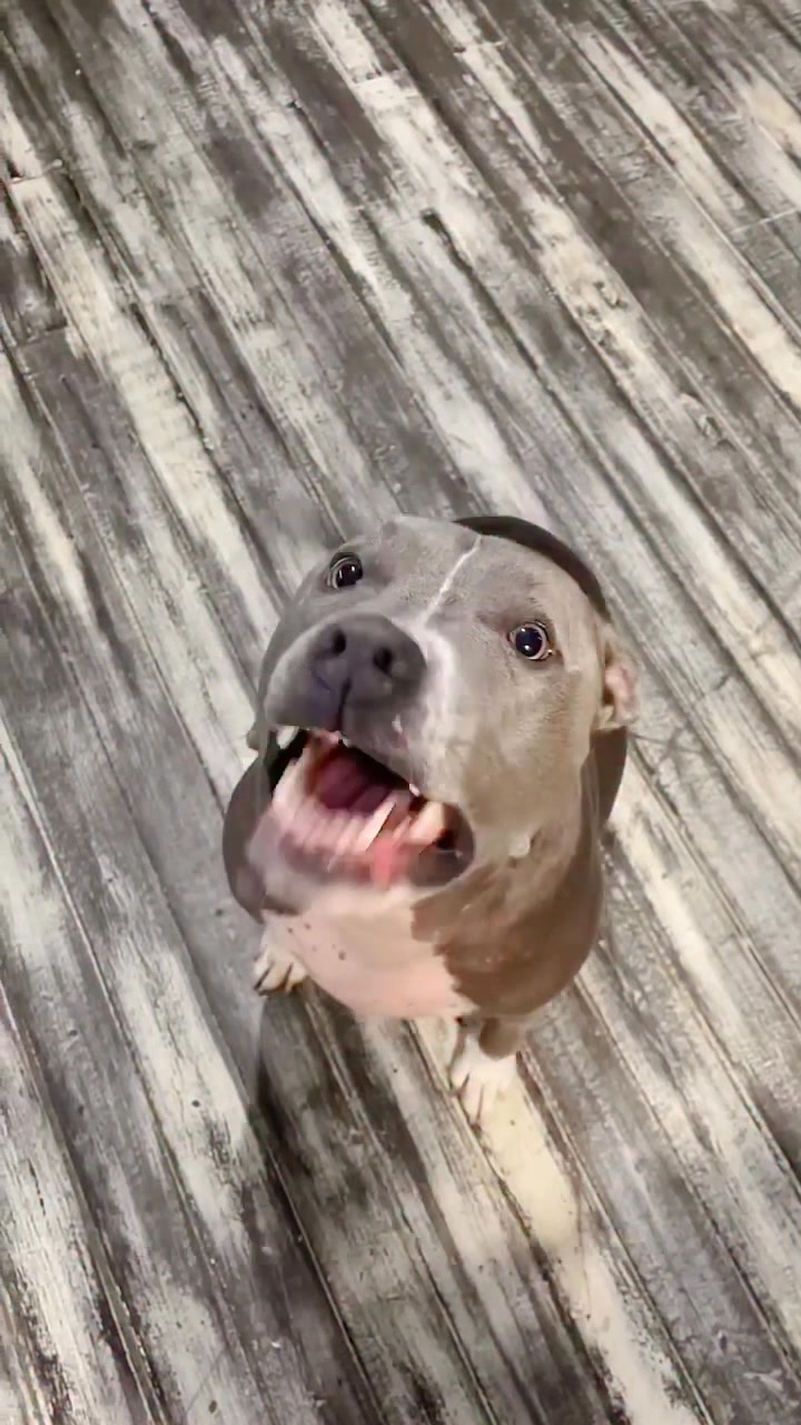 Wait please don’t scroll do you think I have a pretty smile # ...