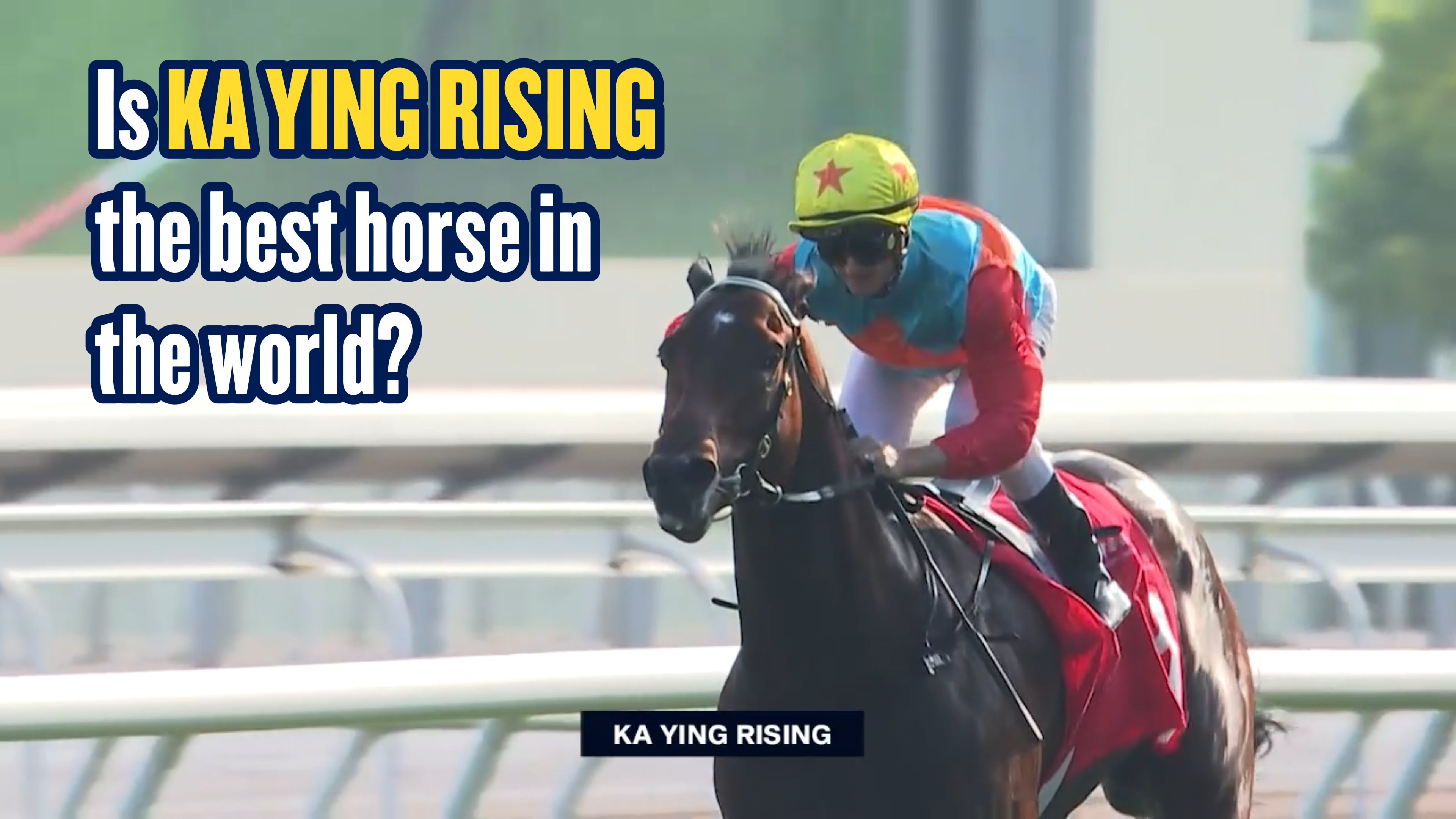 In just ONE WEEK we will know if KA YING RISING is the fastest horse in ...