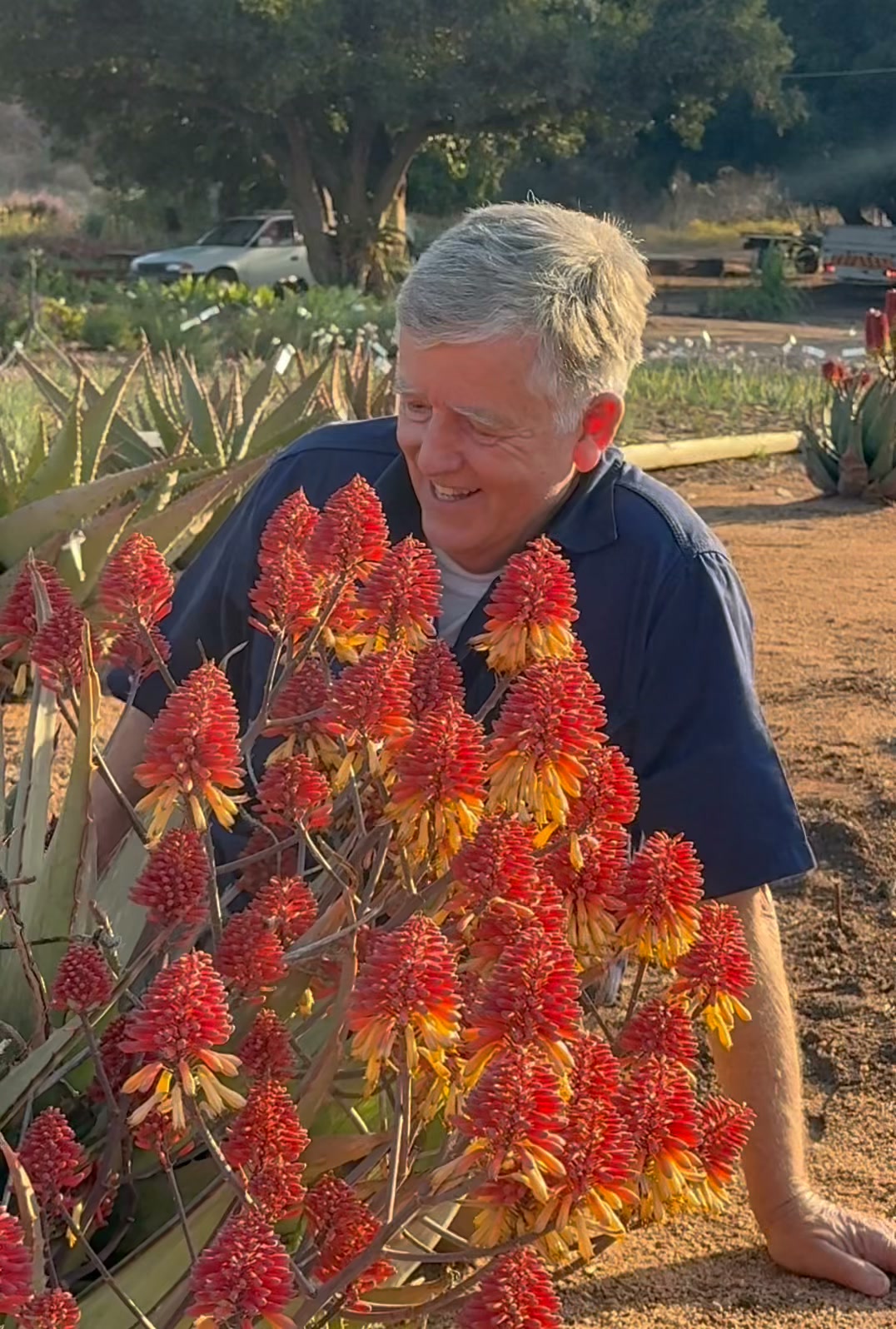 The variety within the genus Aloe is amazing and the possibilities