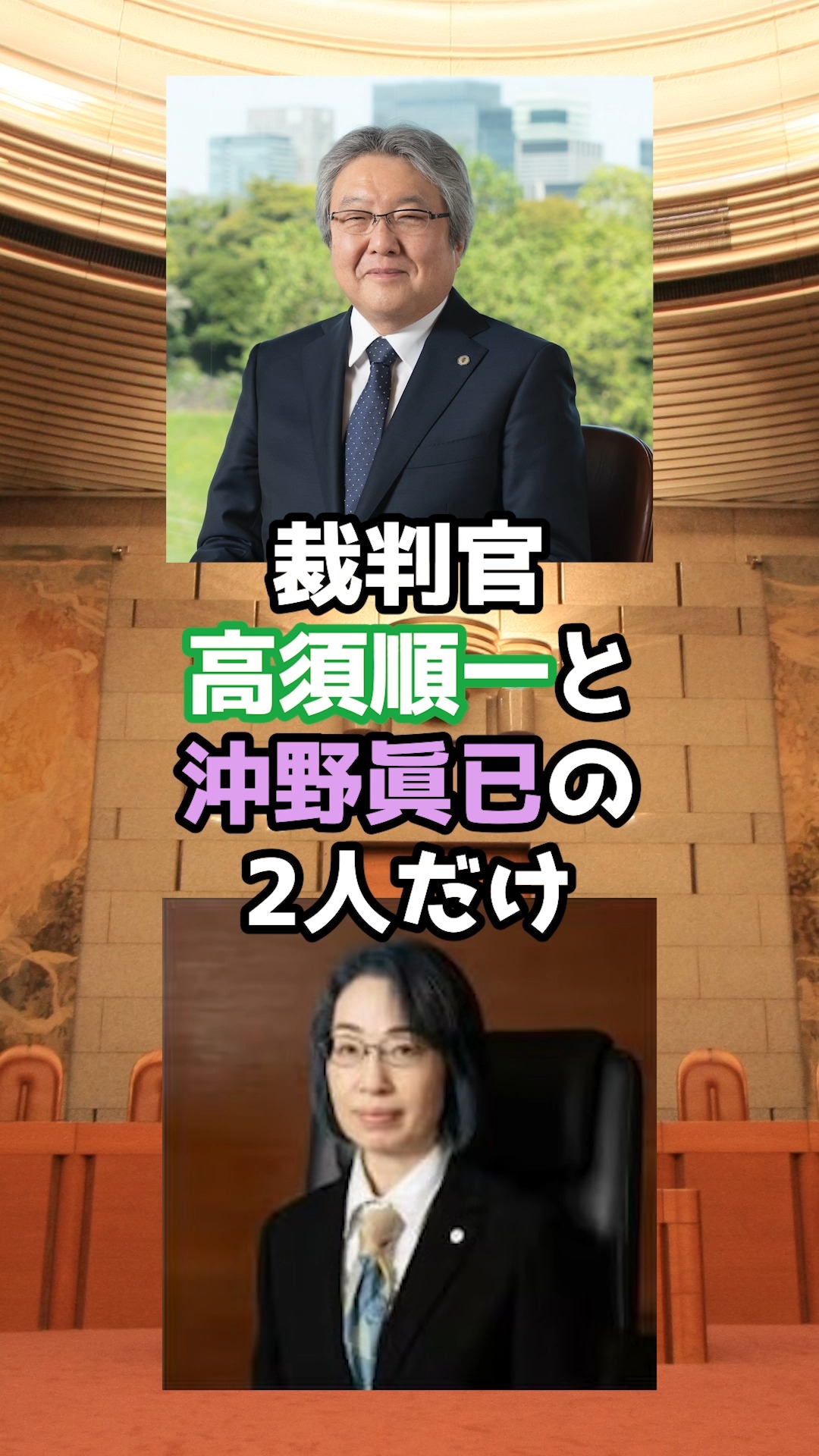 活動歴および当時の関連ビジュアル記録