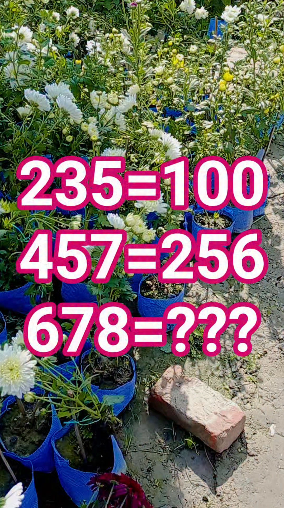 Only For Genius 22x57